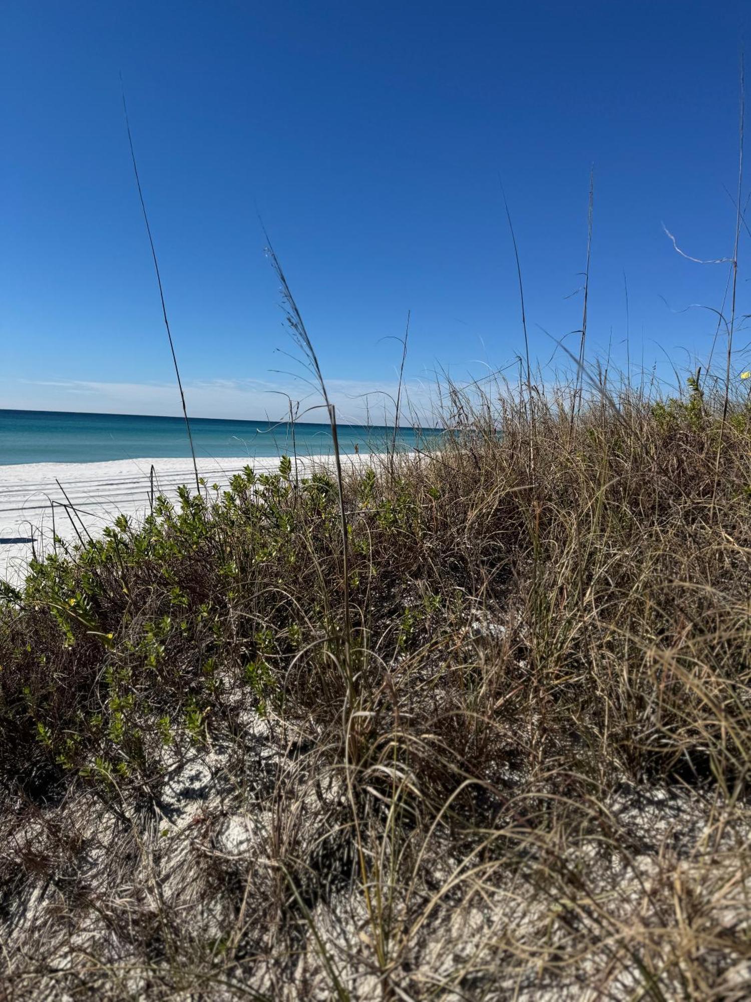 Holiday home Dolphin View At 8629 Surf Drive By Nautical *